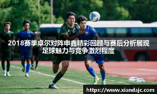 2018赛季卓尔对阵申鑫精彩回顾与赛后分析展现足球魅力与竞争激烈程度